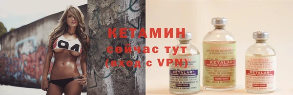 крисы Нея