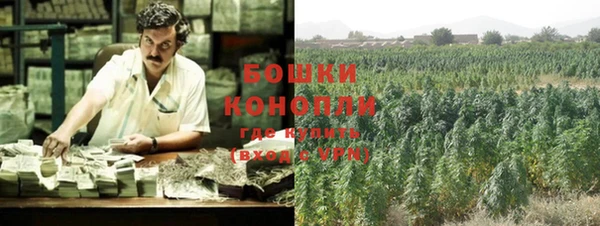 крисы Нея