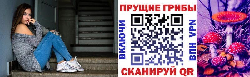 Псилоцибиновые грибы Psilocybe  блэк спрут вход  Калининск 