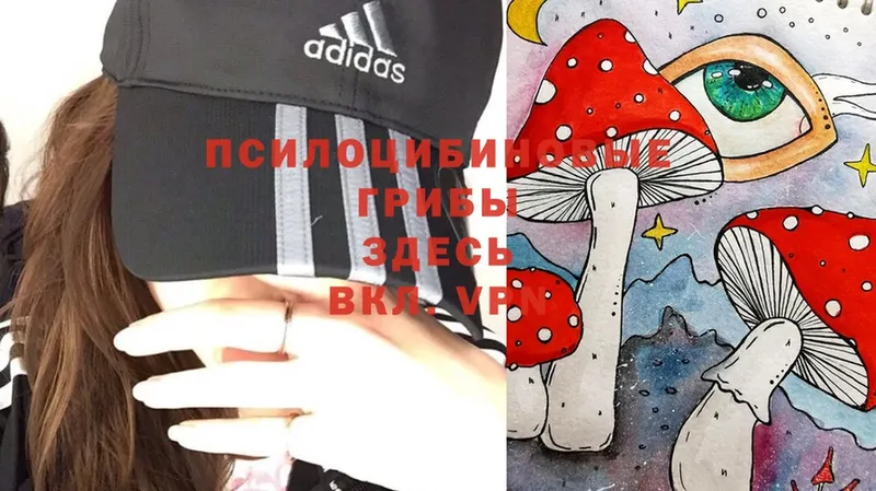 Галлюциногенные грибы Magic Shrooms  мега ссылка  Калининск 